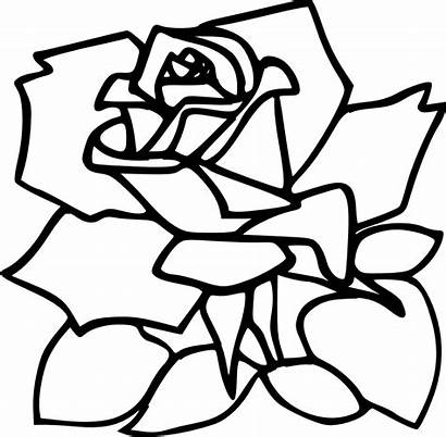 Rose Clipart Clip Mawar Line Drawings Drawing