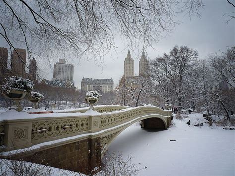 Winter In Central Park New York Wallpapers Top Free Winter In Central