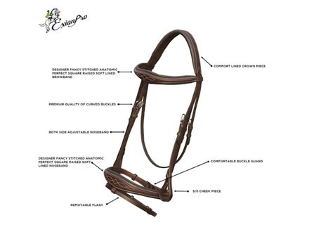 Know Everything About Horse Bridles