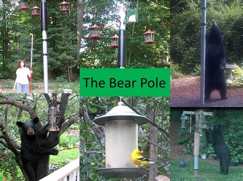 Well, you can't get much more natural than this idea from prodigal pieces since it's made. Bear proof bird feeding system - YouTube
