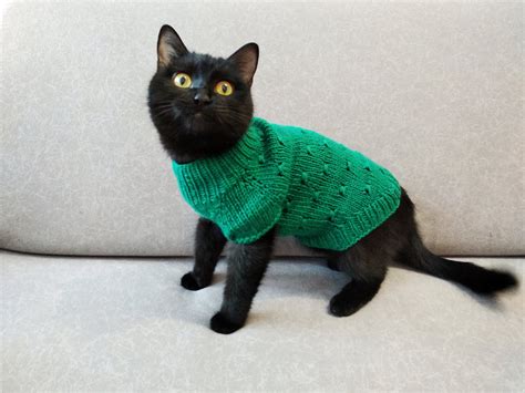 Hand Knitted Cat Sweater Jumper For Cat Pet Sphynx Cat Sweater Etsy