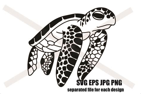 Sea Turtle - SVG EPS JPG PNG