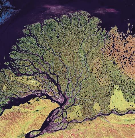 Aerial View Satellite Photo Satellite Image Laptev Sea River Delta