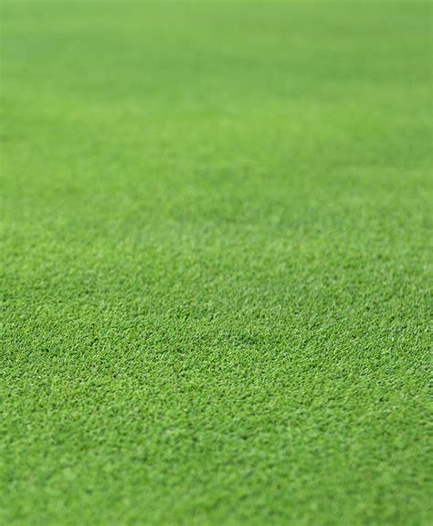 Golf Grass Image Cjd6