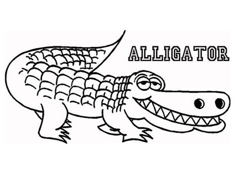 The best ideas for alligator coloring pages if you are looking for some alligator coloring you can even print out some and also hold a coloring competition amongst your kids or your course. Gus Gator - Free Coloring Pages