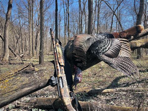 Where To Shoot A Turkey Outdoor Life