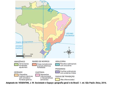 Os Grandes Domínios Morfoclimáticos Brasileiros Em Geografia Descomplica