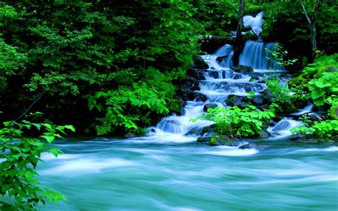 Green Forest Waterfall Wallpaper Hd Nature Wallpapers