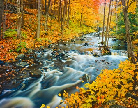 Photographytalk Learn How To Photograph Fall Foliage
