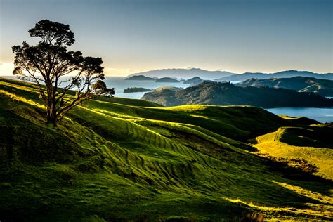 New Zealand Scenery Mountains Lake Trees Coromandel Nature Wallpapers HD Desktop And