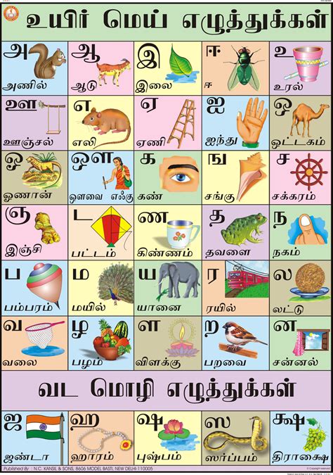 Full Color Laminated Paper Tamil Alphabet Chart Size 70x100 Rs 140