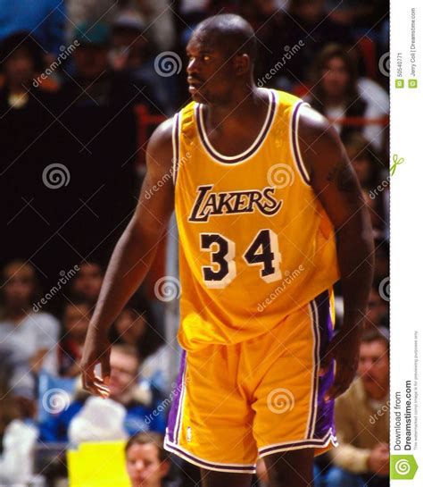 Shaquille O Neal Los Angeles Lakers Editorial Photo Image Of Neal