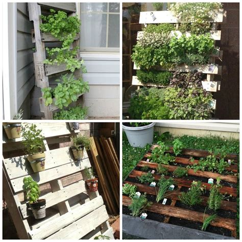 Herb Container Gardening Tips | Metamorphosis Landscape Design