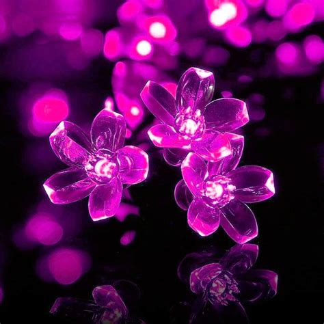Blossom Flower Fairy Lights Purple Eswarr Electricals