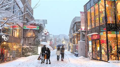 Tokyo Snow 2014 雪の東京 Youtube