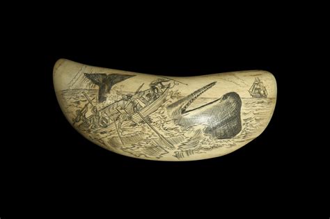 Lot 133 A 19th Century Scrimshaw Sperm Whale Tooth