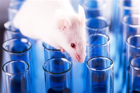 Alternative approaches to animal testing - cefic.org