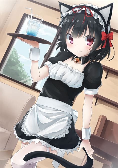 Anime Cat Girl Dress Up Deviantart Anime Girl