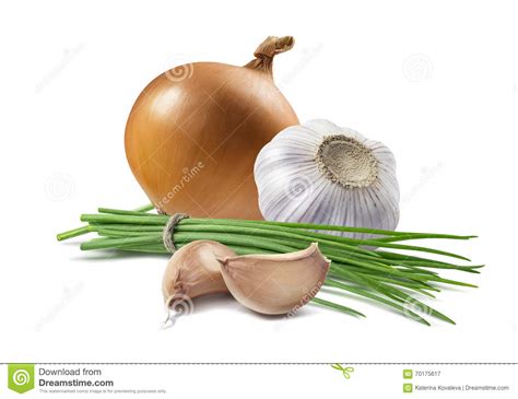 Yellow Onion Green Scallion Garlic Isolated Stock Image Image Of