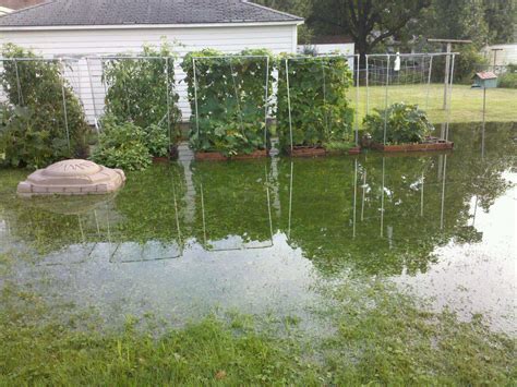 In the backyard is normally where most of the problems occur do to the flatness of the yard. Irrigation Tech | Rochester, NY | Drainage