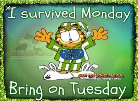 We did not find results for: Pin by Ana Acosta on Funny quotes | Tuesday quotes good ...