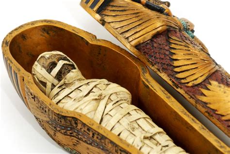 The First Genome Data From Ancient Egyptian Mummies Nexus Newsfeed