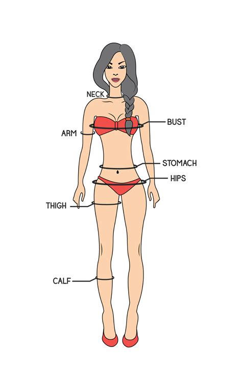 female erogenous zones body measurement chart university logo chart design female bodies