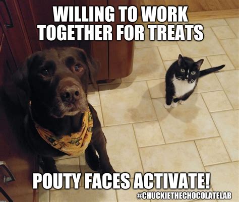 Working Together For Treats Imgflip
