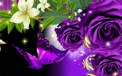 Purple Wallpapers Roses Rose Butterfly Background Desktop