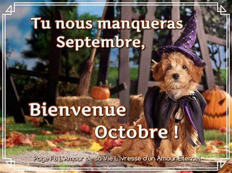 18 Octobre Images Photos Et Illustrations Pour Facebook Bonnesimages