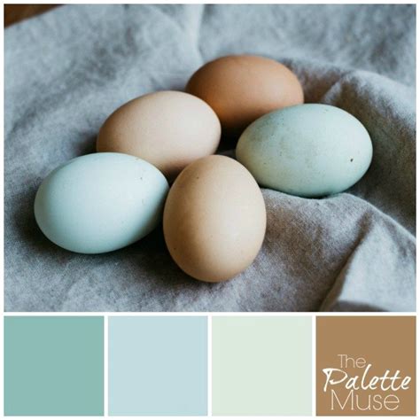 Eggshell Palette Fresh Color Palette Natural Egg Color Eggshell
