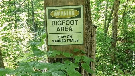 Bigfoot Spotted In Upstate Ny Coast To Coast Am With George Noory