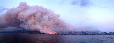 Strawberry hill burned in the 2003 wildfire season. 2003 Okanagan Mountain Park Fire