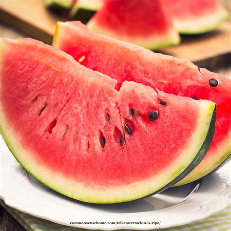 How To Tell If A Watermelon Is Ripe And Ready To Pick