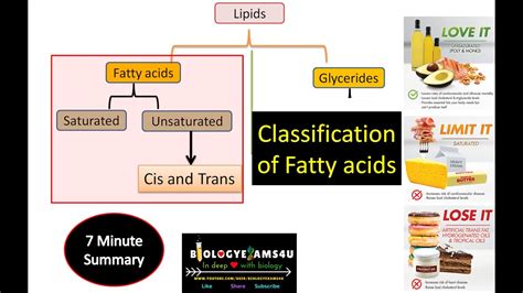 Fatty Acids And Their Classification Saturated Vs Unsaturated Cis Vs