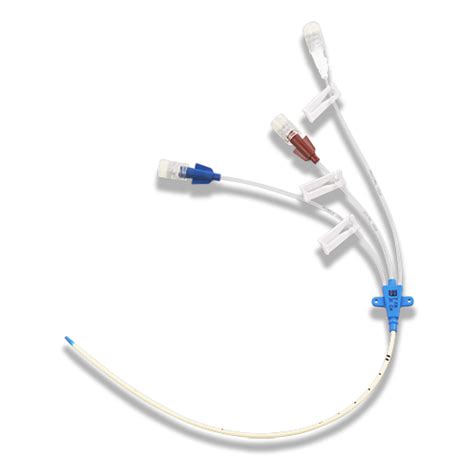 On the outside, the catheter may divide into 1, 2, or 3 lumens. Central Venous Catheter - Biosensors-ccp JWICU