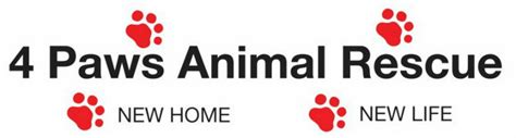 4 Paws Animal Rescue Animalqf