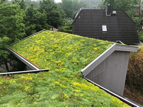 Can I Have A Green Roof On A Sloped Roof Sempergreen