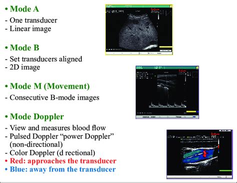 Modes Of Ultrasound In Medicine Download Scientific Diagram
