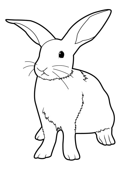 Coloriage Lapin à colorier Dessin à imprimer Coloriage lapin Coloriage animaux Dessin lapin
