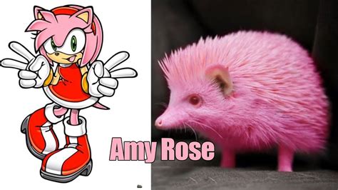Pictures Of Sonic The Hedgehog In Real Life Peepsburghcom