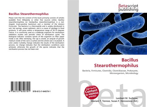 Bacillus Stearothermophilus Gram Stain