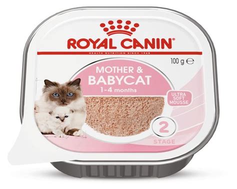 Royal Canin Feline Mother And Baby Cat Mousse 100g All Things Pets And Pool