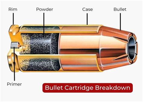 Rimfire Vs Centerfire Ammunition What Should You Use Gls Tactical