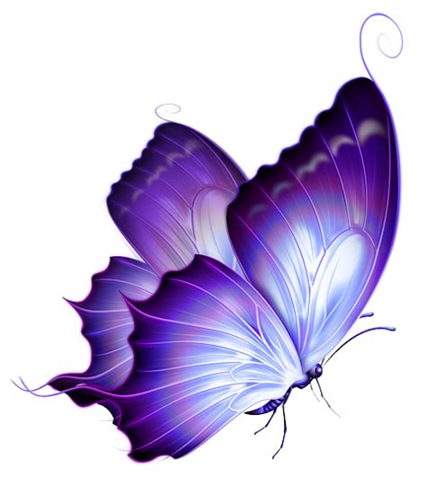 Pin by Roxanne G Designs on Butterflies | Pinterest | Butterfly png image