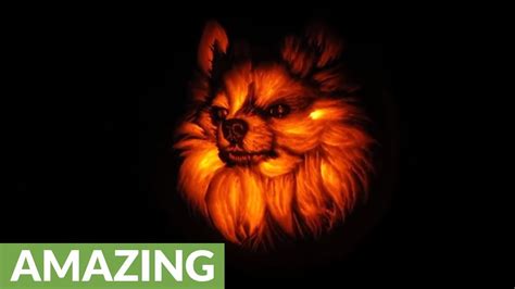 Incredible Pumpkin Carving Time Lapse Footage Youtube