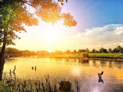 Buburuze, păianjeni, furnici şi un gândac croitor. Parcul Natural Comana din Giurgiu | PLANIADA