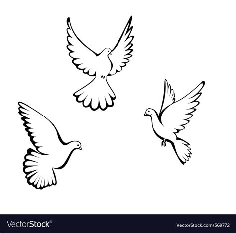 Three Dove Royalty Free Vector Image Vectorstock