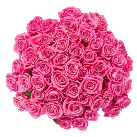 50 Fresh Pink Roses Farm Direct Flower Delivery Flower Explosion