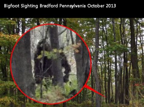 Top 20 States For Bigfoot Sightings Philly